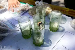 کشف یک ماده مخدر جدید در کشور+جزئیات وحشتناک