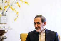 ولایتی: ایرانی بودن فضل است نه آریایی بودن