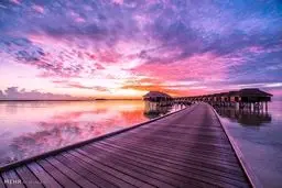 برترین تصاویر سال 2016 در سایت فلیکر