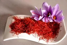 مزارع طلای سرخ جهان در ایران / تصاویر