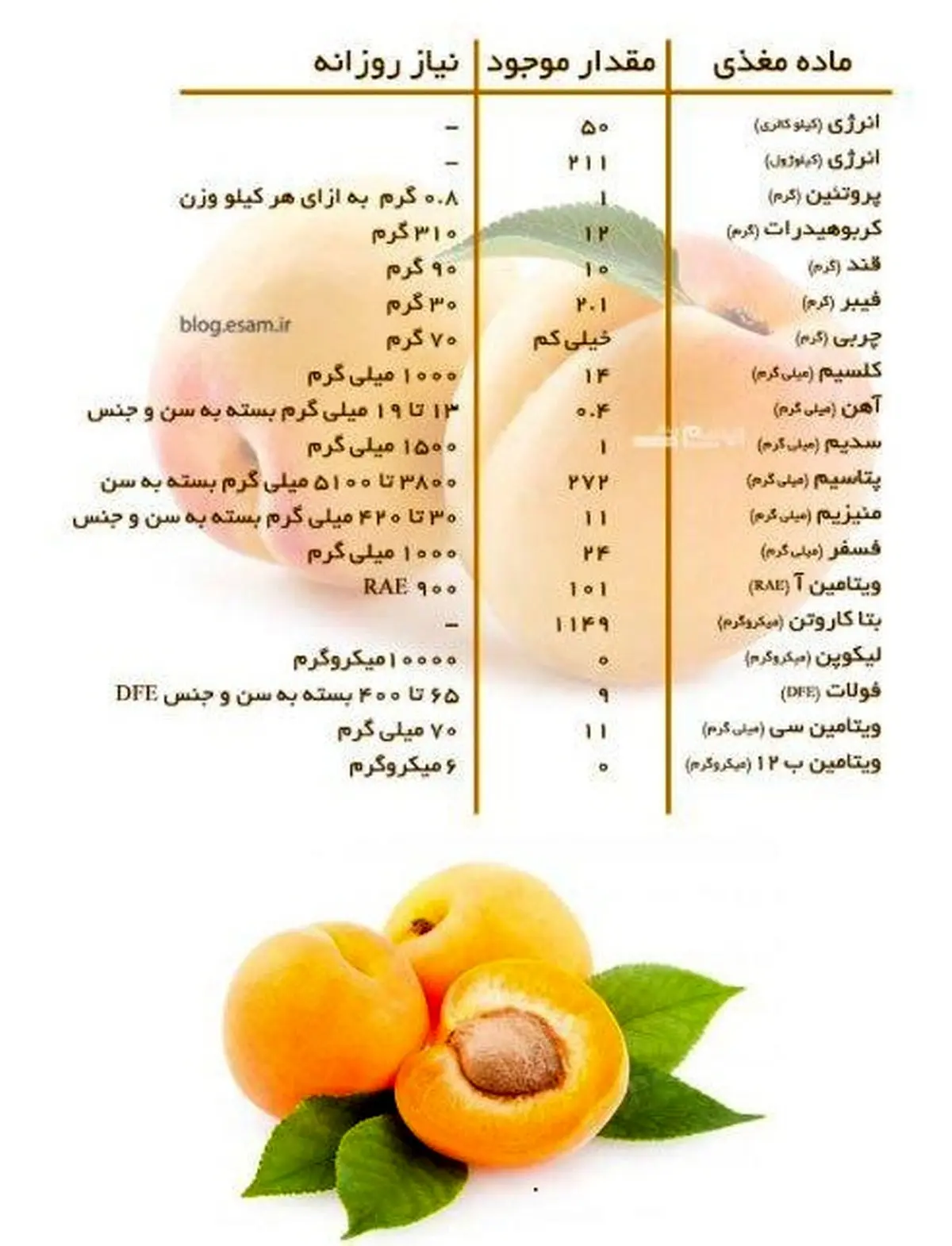 درباره یک میوه معجزه گر تابستانی بیشتر بدانید
