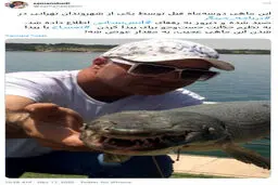 تمساح پر حاشیه دریاچه چیتگر پیدا شد! + عکس