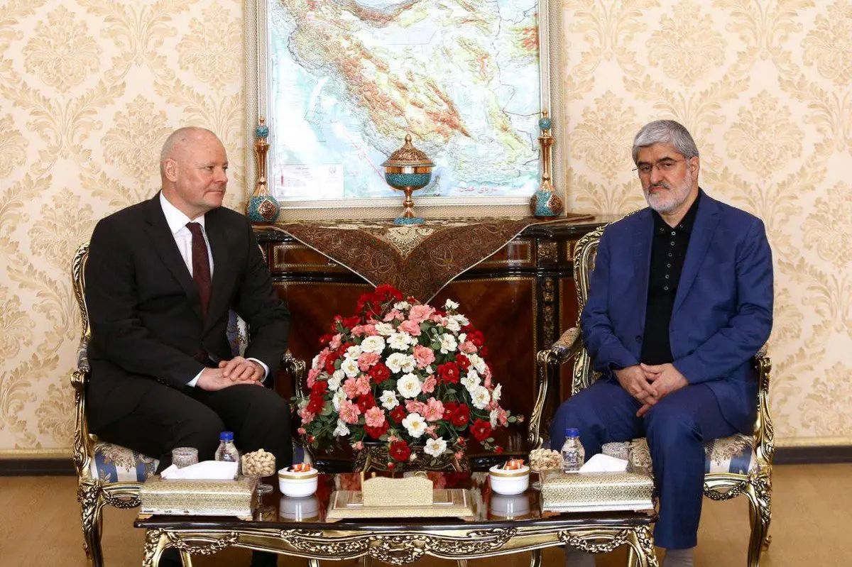 عكس: دیدار نایب رئیس مجلس با سفیر آلمان