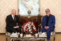 عكس: دیدار نایب رئیس مجلس با سفیر آلمان