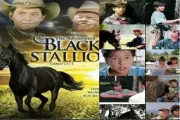 «مشکی» و اسب های فائزه هاشمی