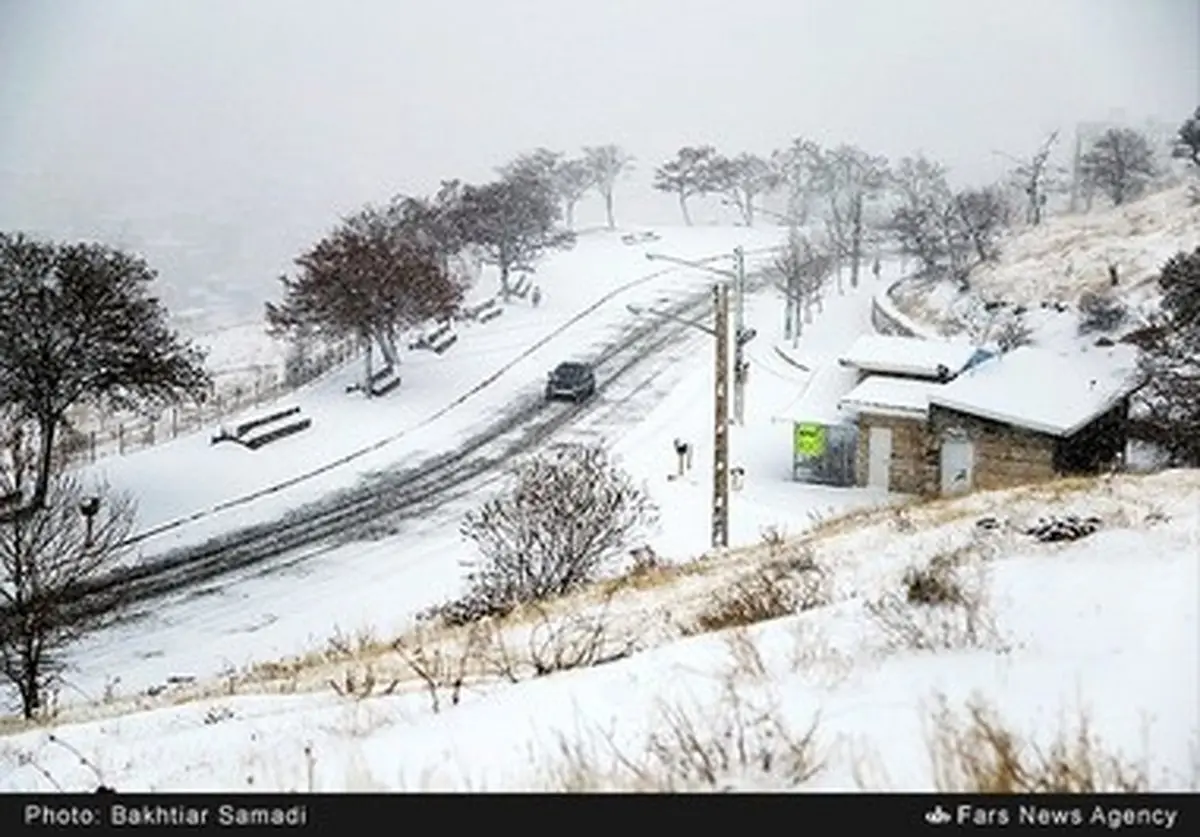 سنندج هم سفیدپوش شد/تصاویر