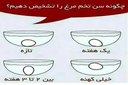 عکس آزمایش سن و سلامت تخم مرغ