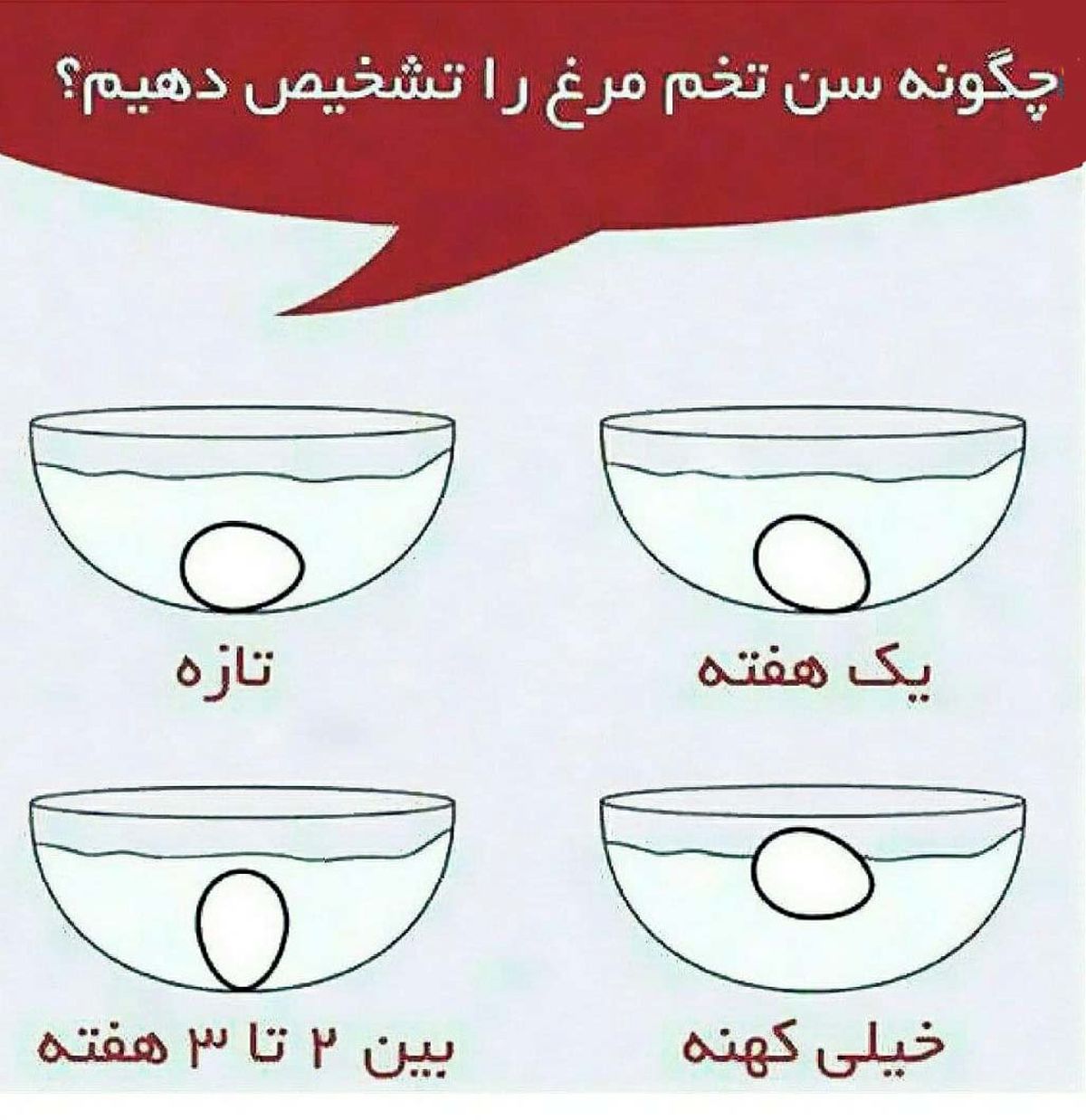 عکس آزمایش سن و سلامت تخم مرغ