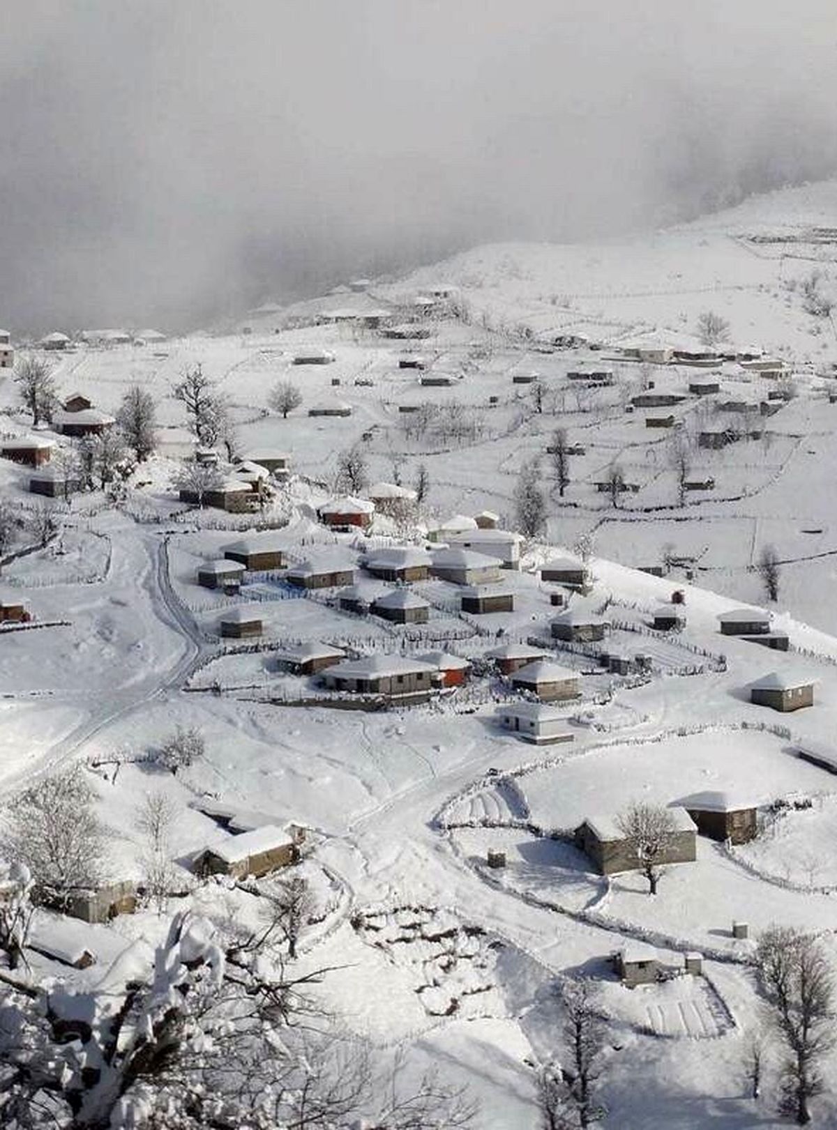 نمایی بی نظیر از چهره زمستانی تالش / عکس