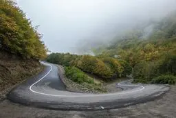عکس بی‌نظیر از جاده جنگلی در ارسباران