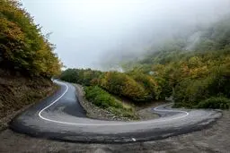 عکس بی‌نظیر از جاده جنگلی در ارسباران