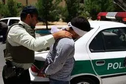 کشف ۲۲۶ قبضه سلاح غیرمجاز در خوزستان  در پنج روز گذشته