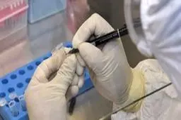 تعطیلی مدارس، دانشگاه ها و مراکز آموش عالی قم در پی شیوع کرونا