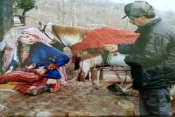 نیوشا ضیغمی در اولین تجربه کاری اش+عکس