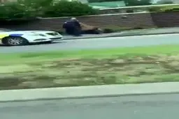 ببینید: لحظه دستگیری یکی از مهاجمان به مسجدی در نیوزلند