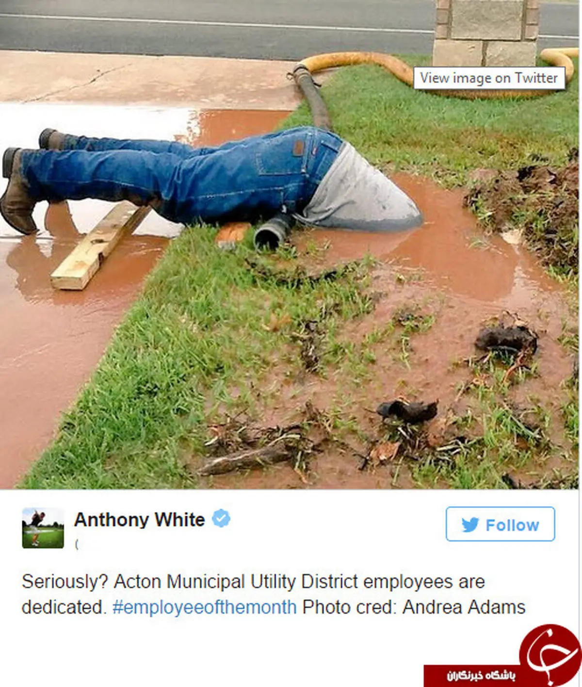 این عکس پربازدیدترین تصویر فضای مجازی شد