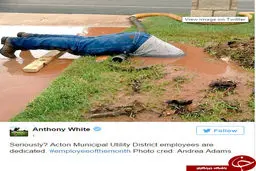 این عکس پربازدیدترین تصویر فضای مجازی شد