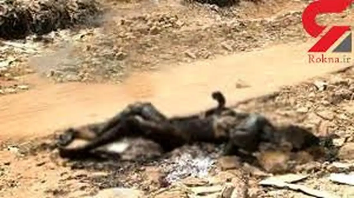 راز عجیب جسد سوخته رها شده در اطراف خرمشهر + عکس 16+