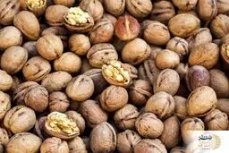 مصرف 10 گرم از این مغز در ناشتا تمام ریشه های قند خون و نارسایی قلبی را بر طرف می کند + سم زدایی از کبد چرب