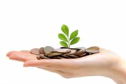 نکاتی برای پس انداز در خرید از فروشگاه‌های اینترنتی با ادامه افزایش تورم