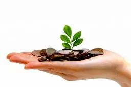 نکاتی برای پس انداز در خرید از فروشگاه‌های اینترنتی با ادامه افزایش تورم