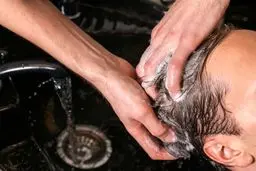 شامپو لورآل و آلپسین بهترین شامپوهای خارجی موجود در بازار