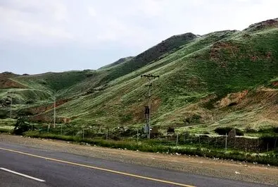 سبز شدن عربستان