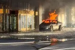 فرد داخل تسلا پیش از انفجار خودکشی کرده بود