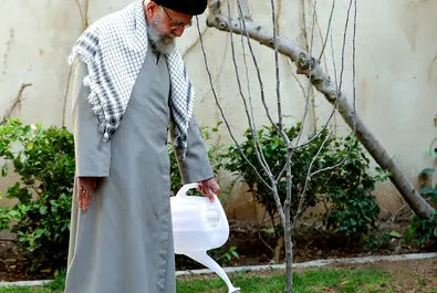 روز درختکاری
