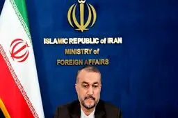 امیرعبداللهیان: از تعاملات با اصحاب رسانه با فرش قرمز استقبال می‌کنیم