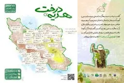 آیا می دانستید میزان زیادی از جنگل‌های ایران از دست رفته است؟

