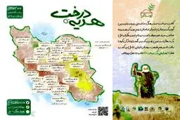 آیا می دانستید میزان زیادی از جنگل‌های ایران از دست رفته است؟

