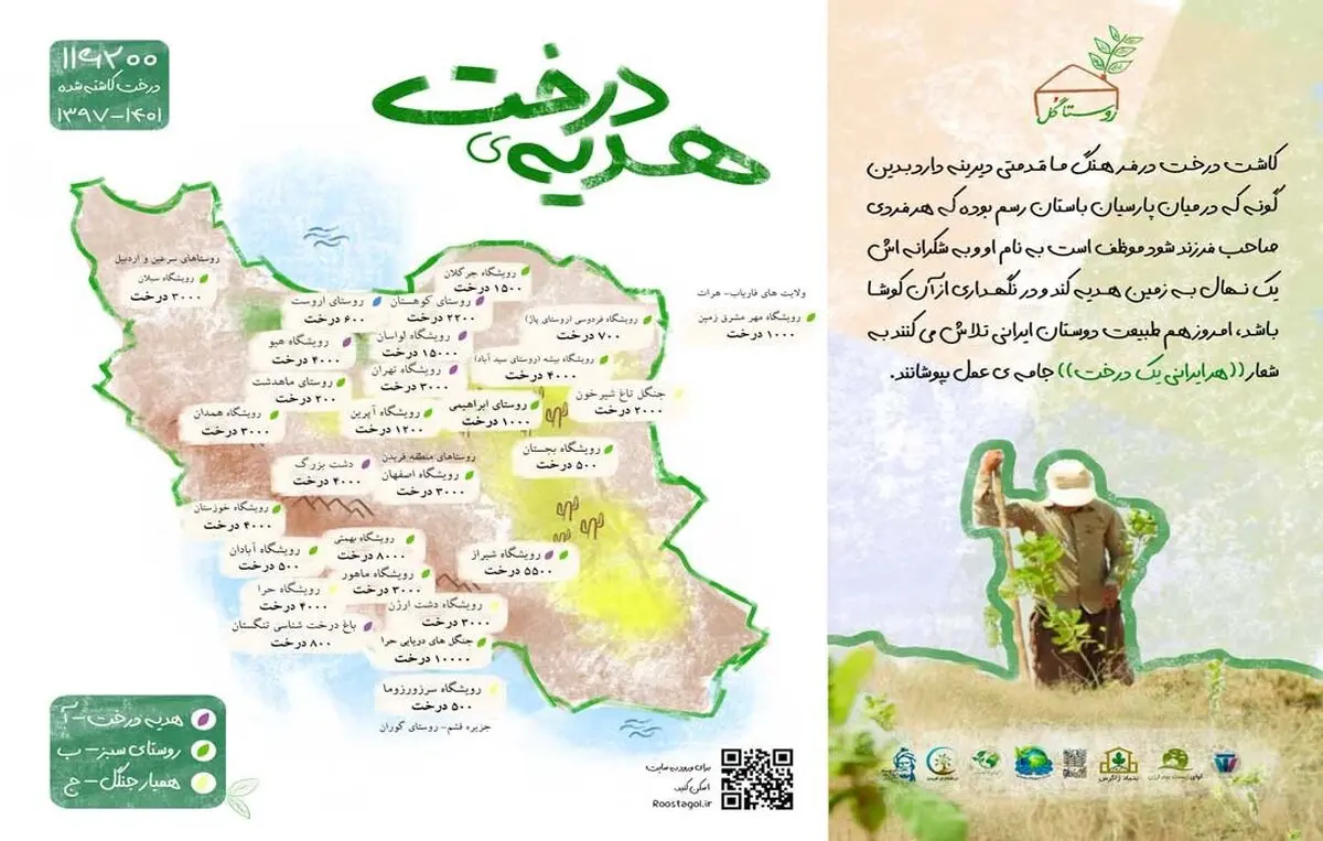 آیا می دانستید میزان زیادی از جنگل‌های ایران از دست رفته است؟

