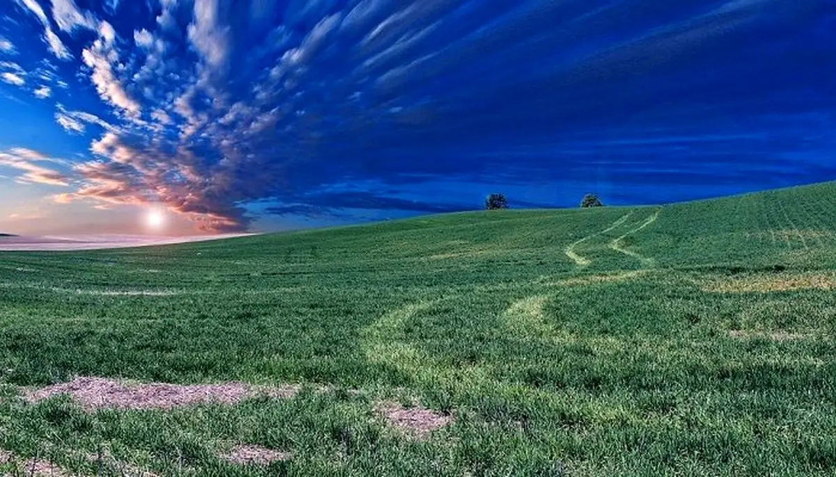 فال امروز 27 خرداد ماه | تقدیر برایتان چه نوشته است؟