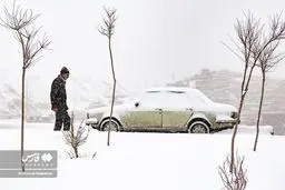 تصاویر بارش سنگین برف در تبریز بعد از مدت‌ها