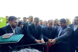 بهره‌برداری ‌نخستین کارخانه فرآوری خشکبار در رفسنجان+تصاویر