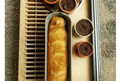 خطای دید