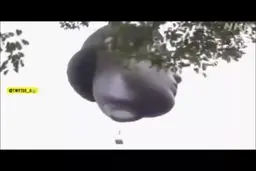 وحشت پرواز روح در آسمان توکیو|راز آسمان المپیک