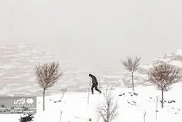 تصاویر جالب از شیرجه به اعماق برف در غرب ایران