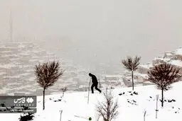 تصاویر جالب از شیرجه به اعماق برف در غرب ایران