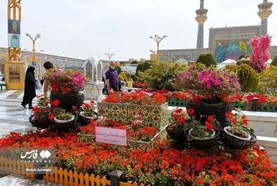 حادثه تروریستی