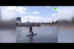 موج سواری سگ و صاحبش به صورت روزانه 