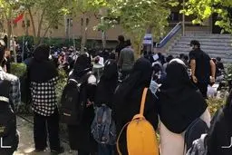 همشهری: به‌کار بردن شعار‌های جنسی در دانشگاه‌ها موجب خشم جامعه ولایی شده