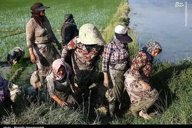 روز کارگر