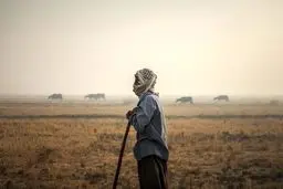 مذاکره نافرجام برای نجات هور