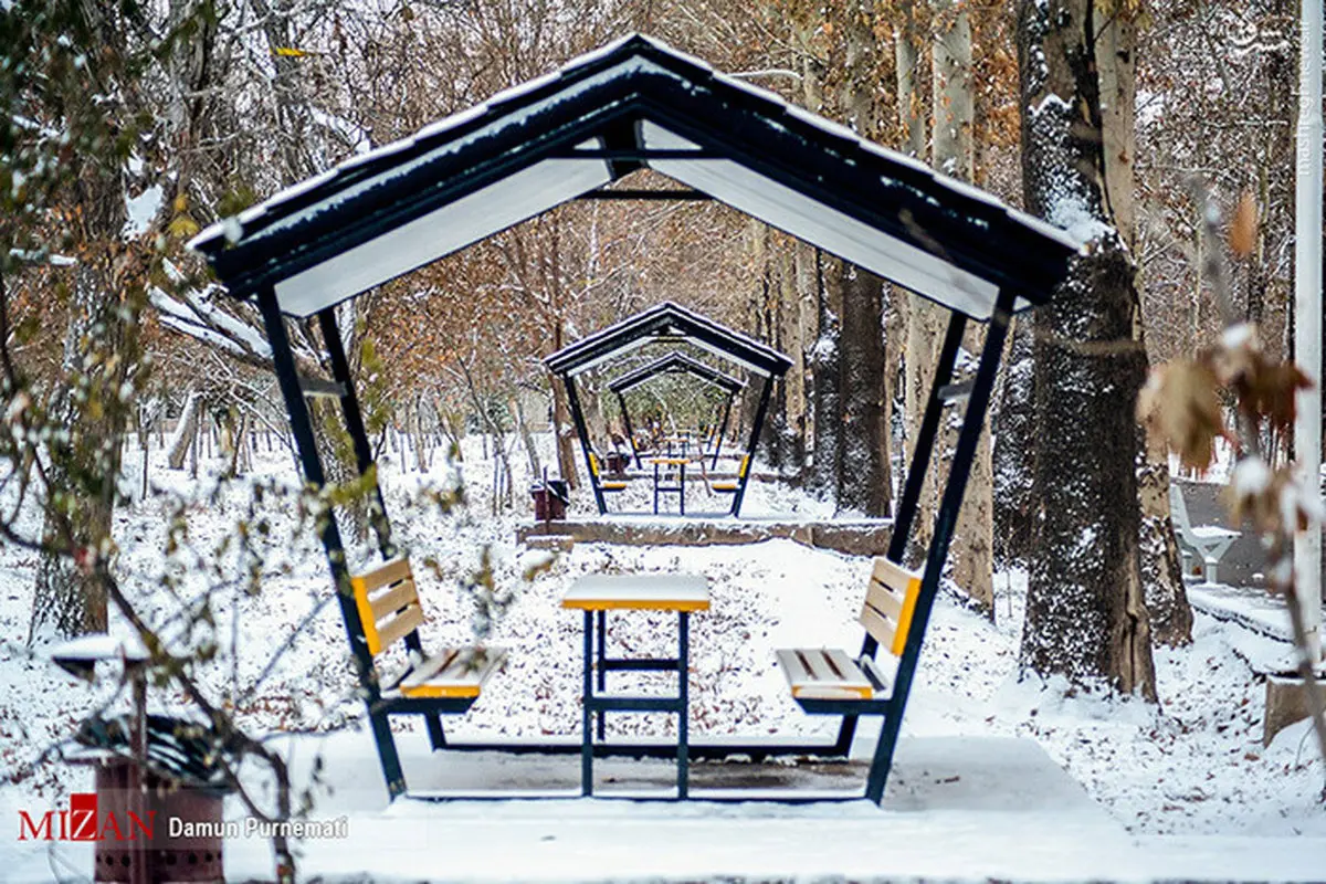 بارش برف در کرج/ عکس