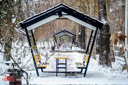 بارش برف در کرج/ عکس