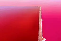 دریاچه صورتی رنگ!/تصاویر