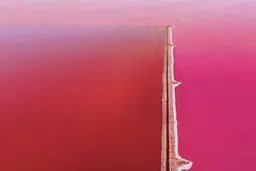 دریاچه صورتی رنگ!/تصاویر