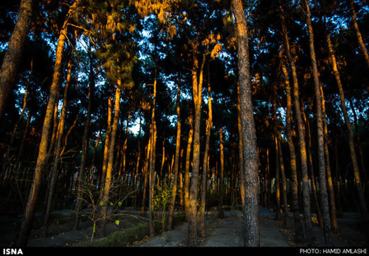 تهران در هوای پاییزی /تصاویر